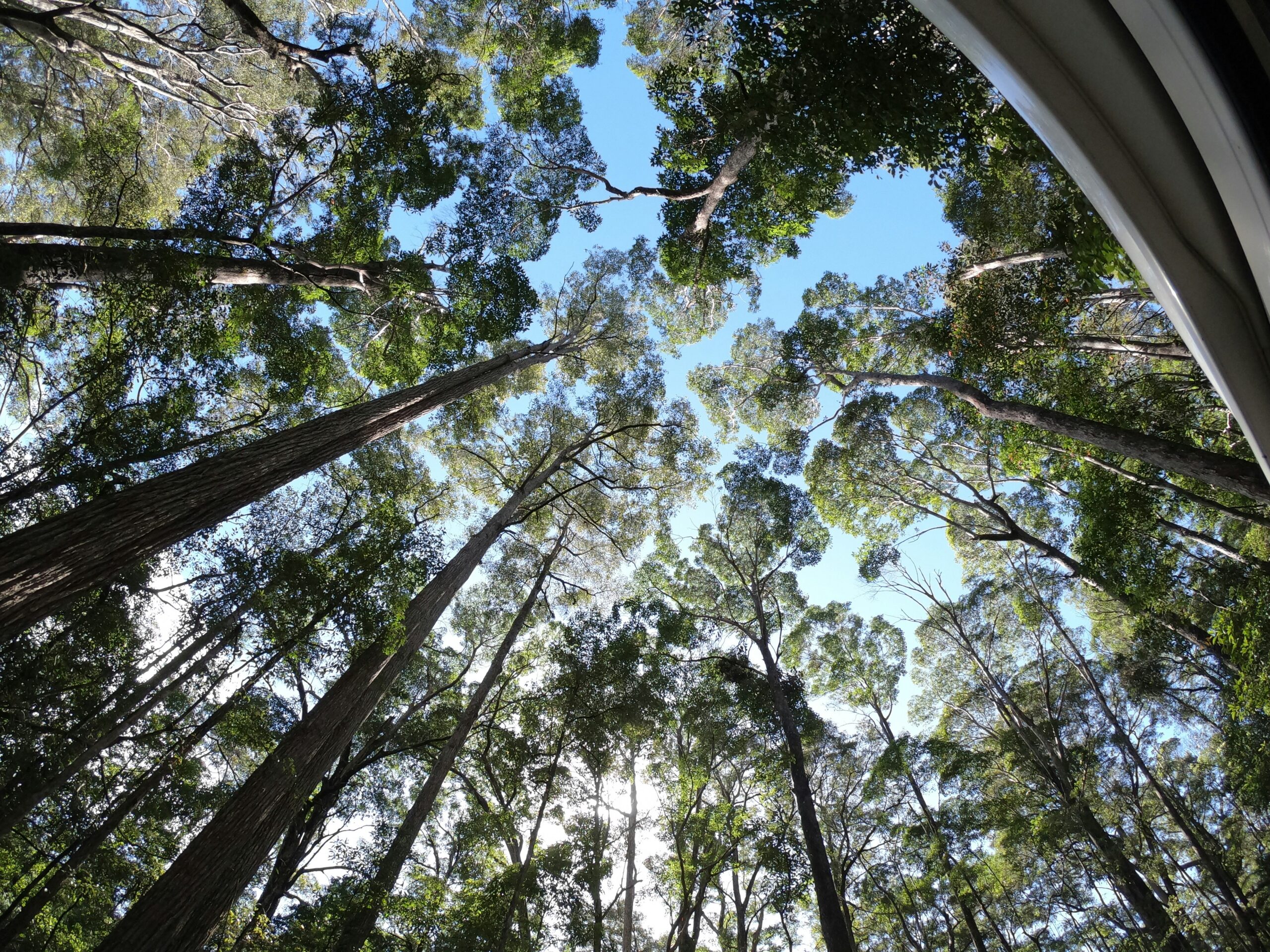 Les 10 événements naturel à ne pas louper en Australie.