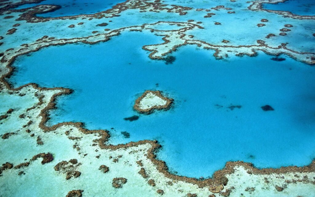 Survol de la grande barrière de corail : activité à faire dans le Queensland