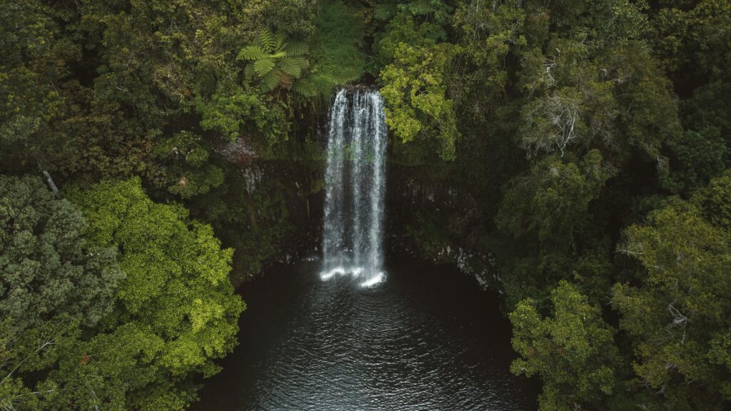 Visiter les Millaa Millaa Falls dans la région des Tablelands, en Australie.